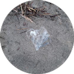 Profile photo of James