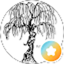 Profile photo of Willow Green