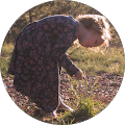 Profile photo of Jeanne Howard