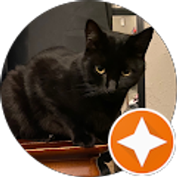 Profile photo of marcii g