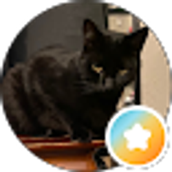 Profile photo of marcii g