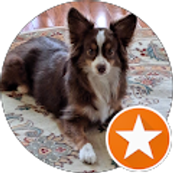 Profile photo of Jack