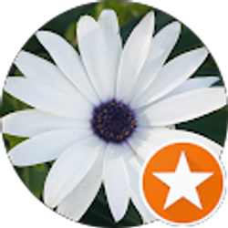 Profile photo of Kelli Hylton