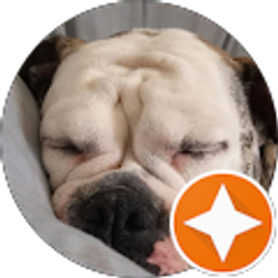 Profile photo of Lori Letulle