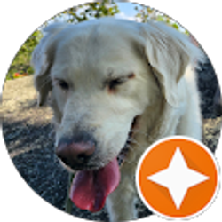 Profile photo of Mike Flandrau