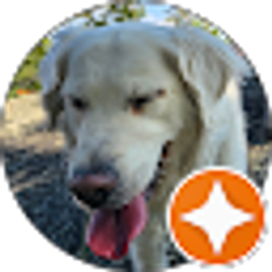 Profile photo of Mike Flandrau