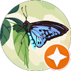 Profile photo of Sharon McClain