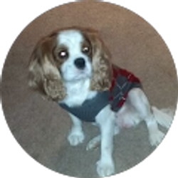 Profile photo of Joe Leonard