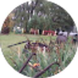 Profile photo of Nelda Bledsoe