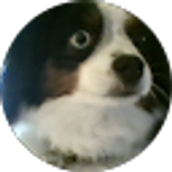 Profile photo of Bettina&Danny Guerrero