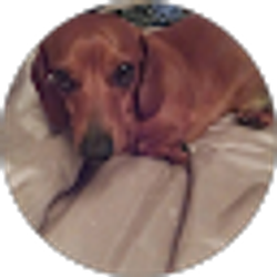 Profile photo of Jessica Brown Witt