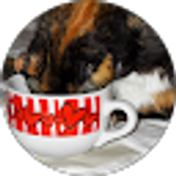 Profile photo of C Lee