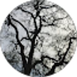 Profile photo of Jeff Sheppard