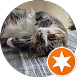 Profile photo of August Fortino