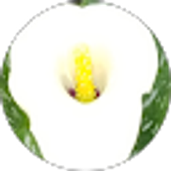 Profile photo of John Kinlow