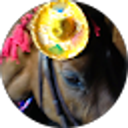 Profile photo of Barbara Nissel