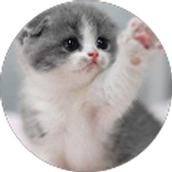 Profile photo of mahtab tu