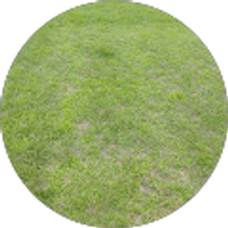 Profile photo of alex husman