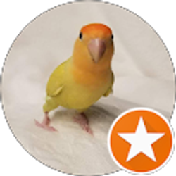 Profile photo of Joyce Foultz