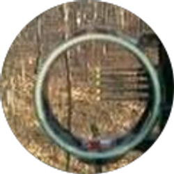 Profile photo of joseph peluso