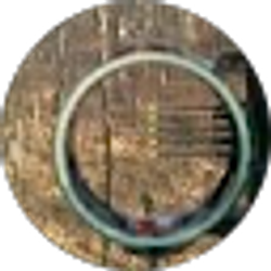 Profile photo of joseph peluso