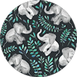 Profile photo of Jocelyn Brumfield