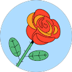 Profile photo of Rose Healy