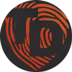 Profile photo of Ray