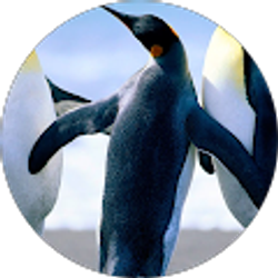 Profile photo of Emilie Schneider