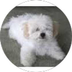 Profile photo of Dorothy Larson