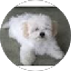 Profile photo of Dorothy Larson