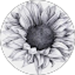 Profile photo of Lisa Lynn Hobbs