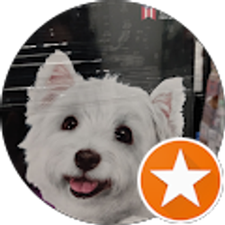 Profile photo of Amir B