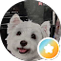Profile photo of Amir B