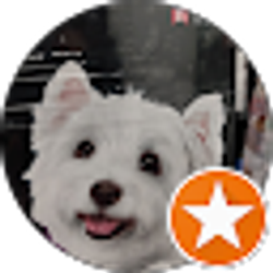 Profile photo of Amir B