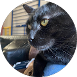 Profile photo of Kimberly Garcia