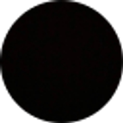 Profile photo of T Kay