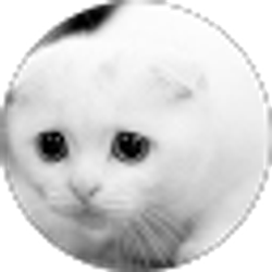 Profile photo of Cameron Son