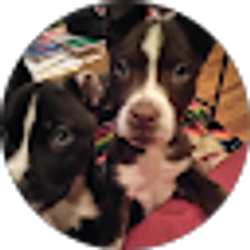 Profile photo of Phyllis Colmar