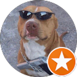 Profile photo of Maricela Nava