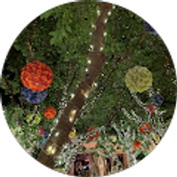 Profile photo of Sherry Brown