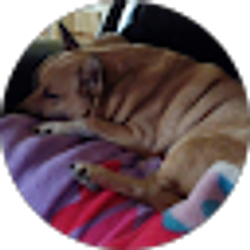 Profile photo of Philip Hendrix