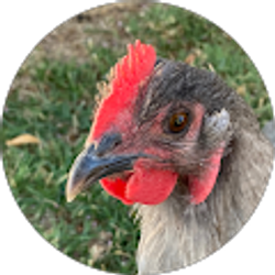 Profile photo of Michael Moroschok