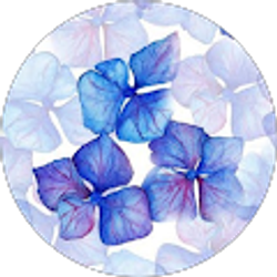 Profile photo of Brittany Phillips