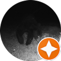 Profile photo of John Alex