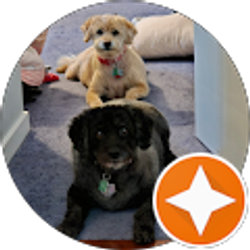 Profile photo of Barry Smoger