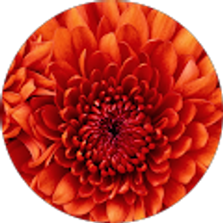 Profile photo of britney luke