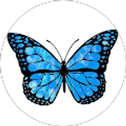 Profile photo of ARACELI MORA