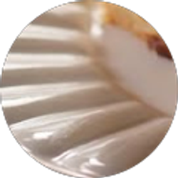 Profile photo of Gail