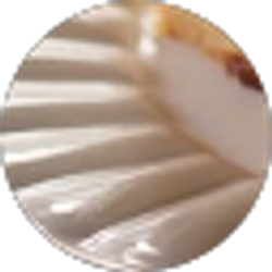 Profile photo of Gail